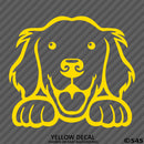 Peeking Golden Retriever Puppy Dog Vinyl Decal - S4S Designs
