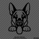 Peeking German Shepherd Puppy Dog Vinyl Decal - S4S Designs