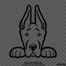 Peeking Great Dane Puppy Dog Vinyl Decal - S4S Designs