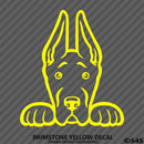 Peeking Great Dane Puppy Dog Vinyl Decal - S4S Designs