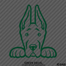Peeking Great Dane Puppy Dog Vinyl Decal - S4S Designs