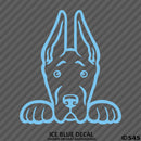 Peeking Great Dane Puppy Dog Vinyl Decal - S4S Designs