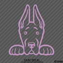 Peeking Great Dane Puppy Dog Vinyl Decal - S4S Designs
