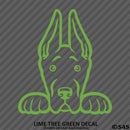 Peeking Great Dane Puppy Dog Vinyl Decal - S4S Designs