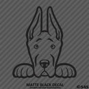 Peeking Great Dane Puppy Dog Vinyl Decal - S4S Designs
