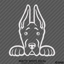 Peeking Great Dane Puppy Dog Vinyl Decal - S4S Designs