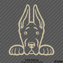 Peeking Great Dane Puppy Dog Vinyl Decal - S4S Designs