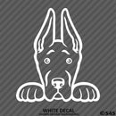 Peeking Great Dane Puppy Dog Vinyl Decal - S4S Designs