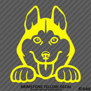 Peeking Husky Puppy Dog Vinyl Decal - S4S Designs
