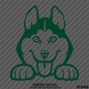 Peeking Husky Puppy Dog Vinyl Decal - S4S Designs