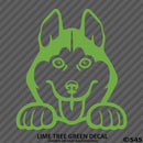 Peeking Husky Puppy Dog Vinyl Decal - S4S Designs