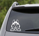 Peeking Husky Puppy Dog Vinyl Decal - S4S Designs