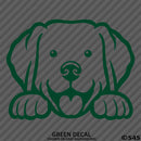 Peeking Labrador Retriever Puppy Dog Vinyl Decal - S4S Designs