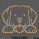 Peeking Labrador Retriever Puppy Dog Vinyl Decal - S4S Designs