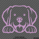 Peeking Labrador Retriever Puppy Dog Vinyl Decal - S4S Designs