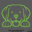 Peeking Labrador Retriever Puppy Dog Vinyl Decal - S4S Designs