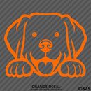 Peeking Labrador Retriever Puppy Dog Vinyl Decal - S4S Designs