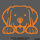 Peeking Labrador Retriever Puppy Dog Vinyl Decal - S4S Designs