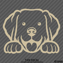 Peeking Labrador Retriever Puppy Dog Vinyl Decal - S4S Designs