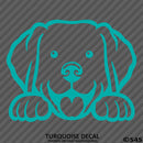Peeking Labrador Retriever Puppy Dog Vinyl Decal - S4S Designs