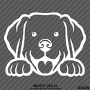 Peeking Labrador Retriever Puppy Dog Vinyl Decal - S4S Designs