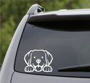 Peeking Labrador Retriever Puppy Dog Vinyl Decal - S4S Designs