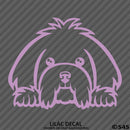 Peeking Maltese Puppy Dog Vinyl Decal - S4S Designs