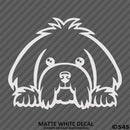 Peeking Maltese Puppy Dog Vinyl Decal - S4S Designs