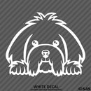 Peeking Maltese Puppy Dog Vinyl Decal - S4S Designs