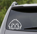 Peeking Maltese Puppy Dog Vinyl Decal - S4S Designs