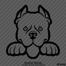 Peeking Pitbull Puppy Dog Vinyl Decal - S4S Designs