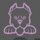 Peeking Pitbull Puppy Dog Vinyl Decal - S4S Designs