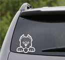 Peeking Pitbull Puppy Dog Vinyl Decal - S4S Designs