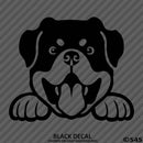 Peeking Rottweiler Puppy Dog Vinyl Decal - S4S Designs