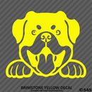 Peeking Rottweiler Puppy Dog Vinyl Decal - S4S Designs