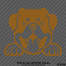 Peeking Rottweiler Puppy Dog Vinyl Decal - S4S Designs