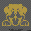 Peeking Rottweiler Puppy Dog Vinyl Decal - S4S Designs