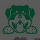 Peeking Rottweiler Puppy Dog Vinyl Decal - S4S Designs