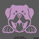Peeking Rottweiler Puppy Dog Vinyl Decal - S4S Designs