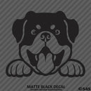 Peeking Rottweiler Puppy Dog Vinyl Decal - S4S Designs