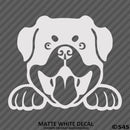 Peeking Rottweiler Puppy Dog Vinyl Decal - S4S Designs