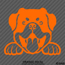 Peeking Rottweiler Puppy Dog Vinyl Decal - S4S Designs