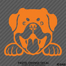 Peeking Rottweiler Puppy Dog Vinyl Decal - S4S Designs