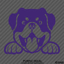 Peeking Rottweiler Puppy Dog Vinyl Decal - S4S Designs