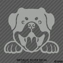Peeking Rottweiler Puppy Dog Vinyl Decal - S4S Designs