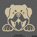 Peeking Rottweiler Puppy Dog Vinyl Decal - S4S Designs