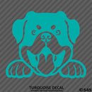 Peeking Rottweiler Puppy Dog Vinyl Decal - S4S Designs