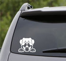 Peeking Rottweiler Puppy Dog Vinyl Decal - S4S Designs