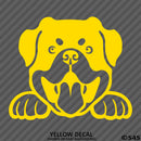 Peeking Rottweiler Puppy Dog Vinyl Decal - S4S Designs
