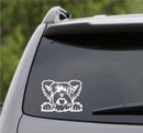 Peeking Yorkshire Terrier Puppy Dog Vinyl Decal - S4S Designs